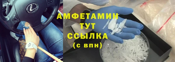 ПСИЛОЦИБИНОВЫЕ ГРИБЫ Абаза