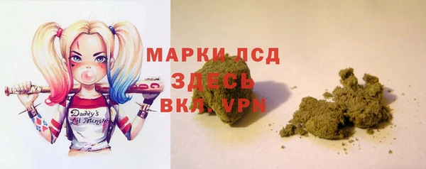 ПСИЛОЦИБИНОВЫЕ ГРИБЫ Абаза