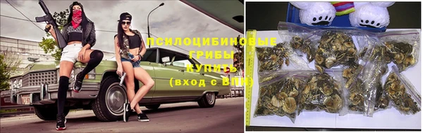 амф Алексин