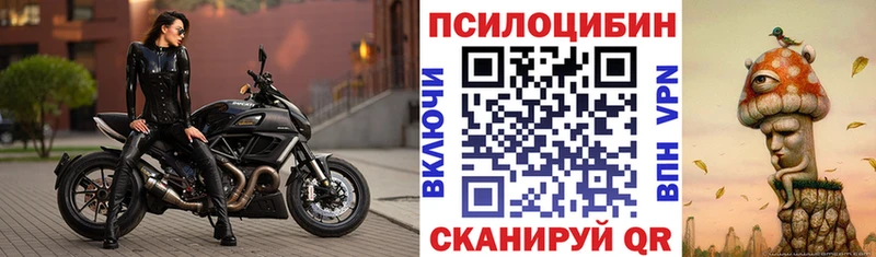 блэк спрут Артём дарк нет телеграм где купить наркоту Галлюциногенные грибы Psilocybine cubensis